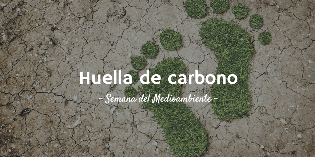 Imagen destacada del artículo 7 trucos para reducir tu huella de carbono