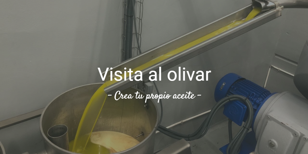 8a Visita al olivar. Crea tu propio aceite