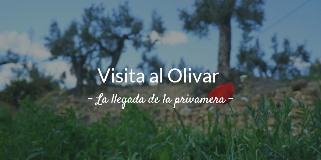 imagen artículo 1ª Visita al olivar 2019. La llegada de la primavera